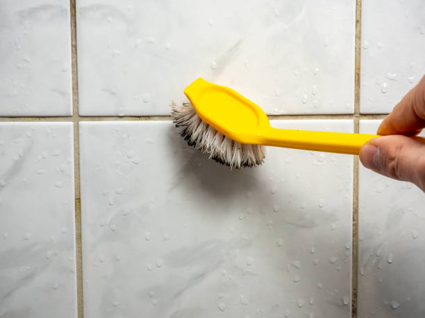 Best Kitchen Mold Remediation in Blissfield, MI