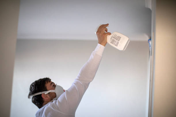 Best Emergency Mold Remediation in Blissfield, MI