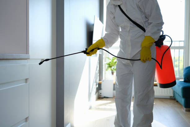 Best Residential Mold Remediation in Blissfield, MI